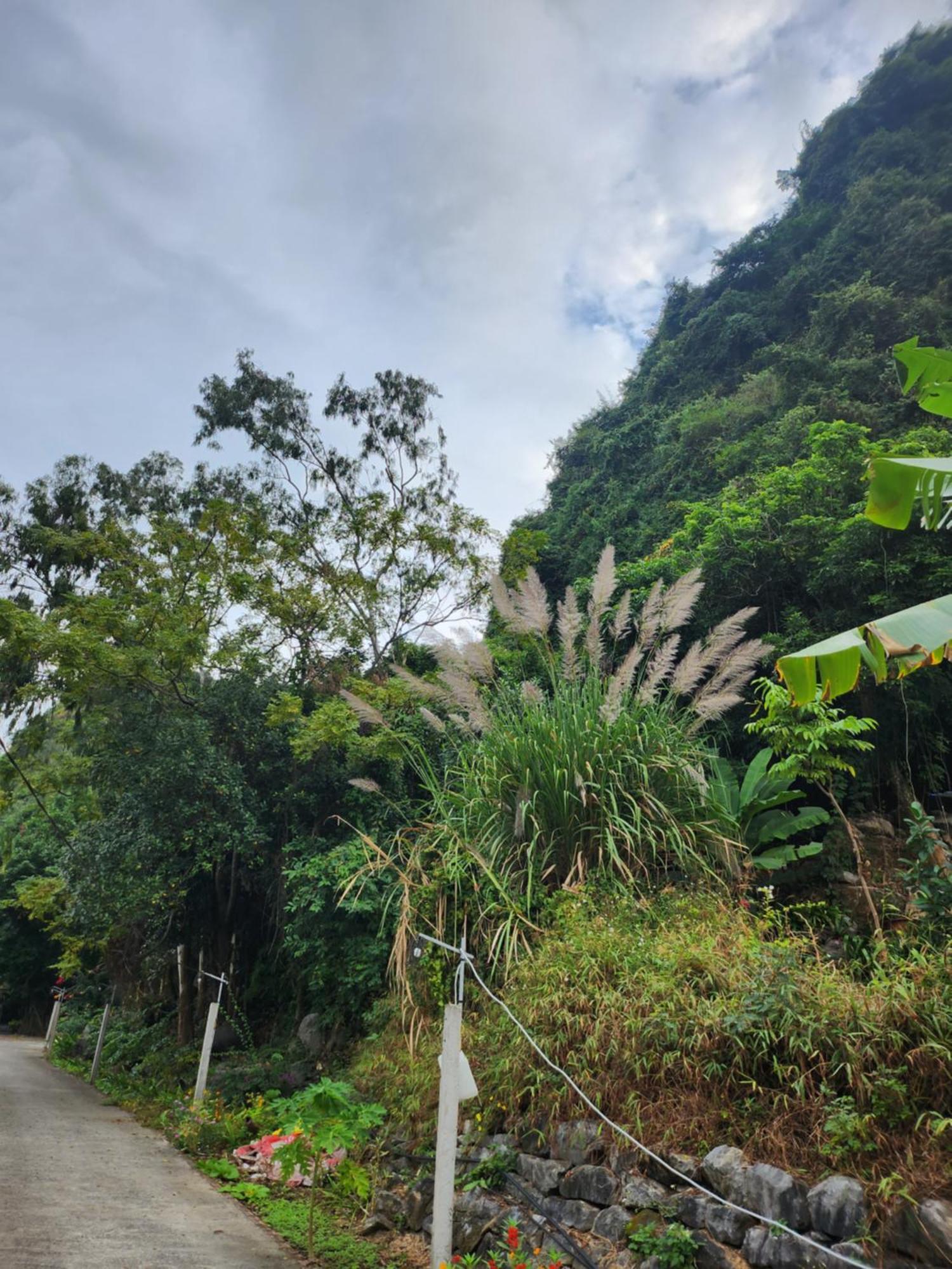 2Stones Cat Ba Homestay Chan Chau Εξωτερικό φωτογραφία
